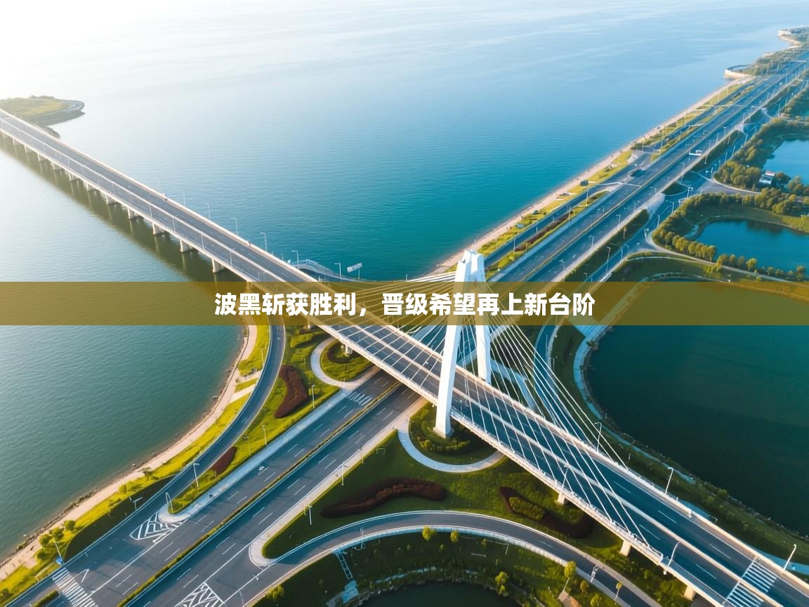 波黑斩获胜利，晋级希望再上新台阶  第2张