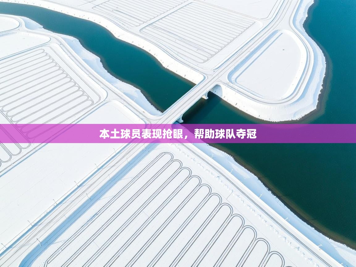 本土球员表现抢眼，帮助球队夺冠
