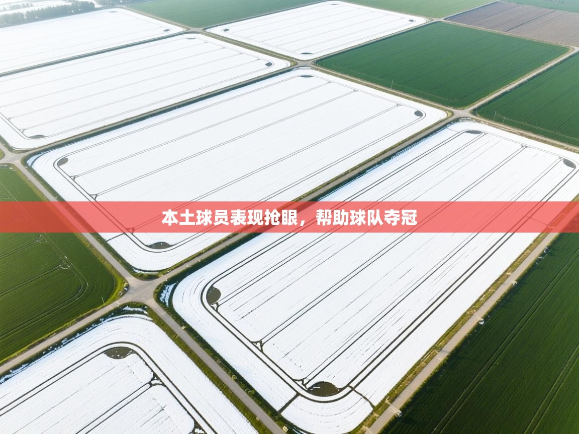 本土球员表现抢眼,帮助球队夺冠 第2张