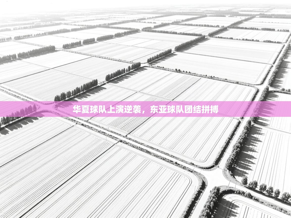 华夏球队上演逆袭，东亚球队团结拼搏