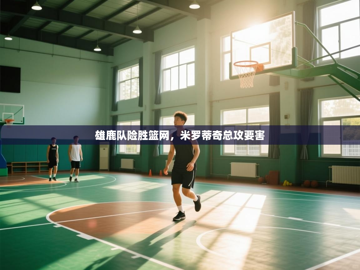 雄鹿队险胜篮网，米罗蒂奇总攻要害