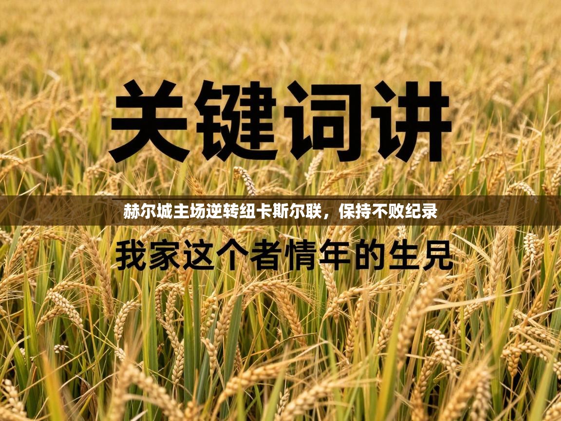 赫尔城主场逆转纽卡斯尔联，保持不败纪录