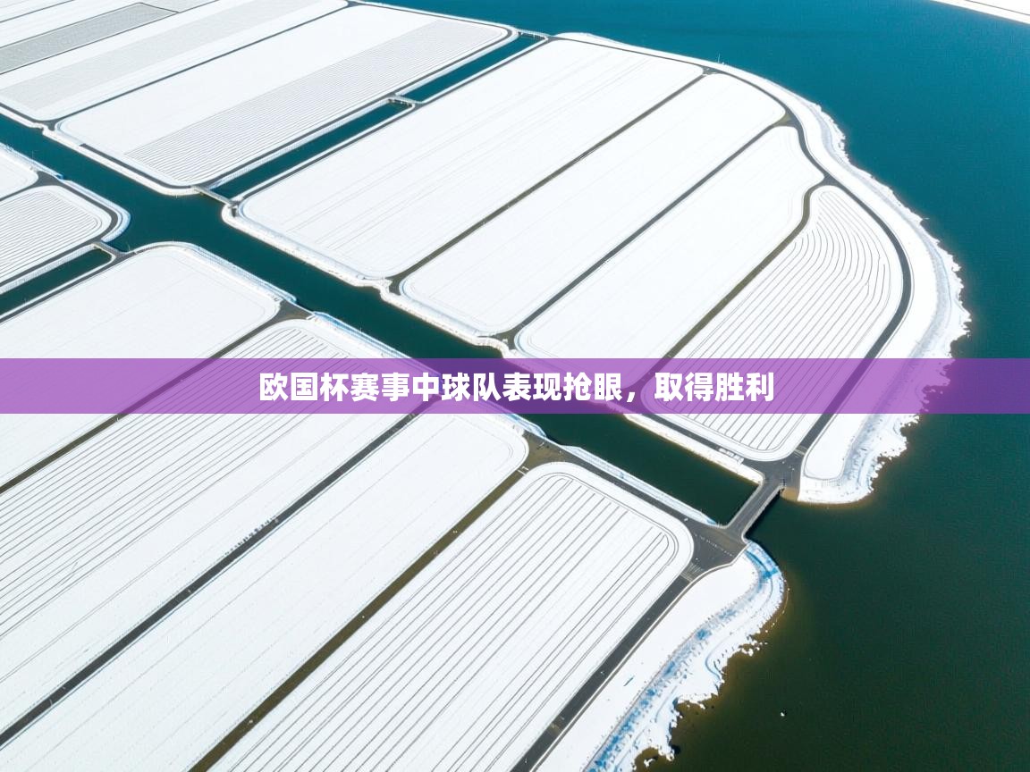 欧国杯赛事中球队表现抢眼，取得胜利