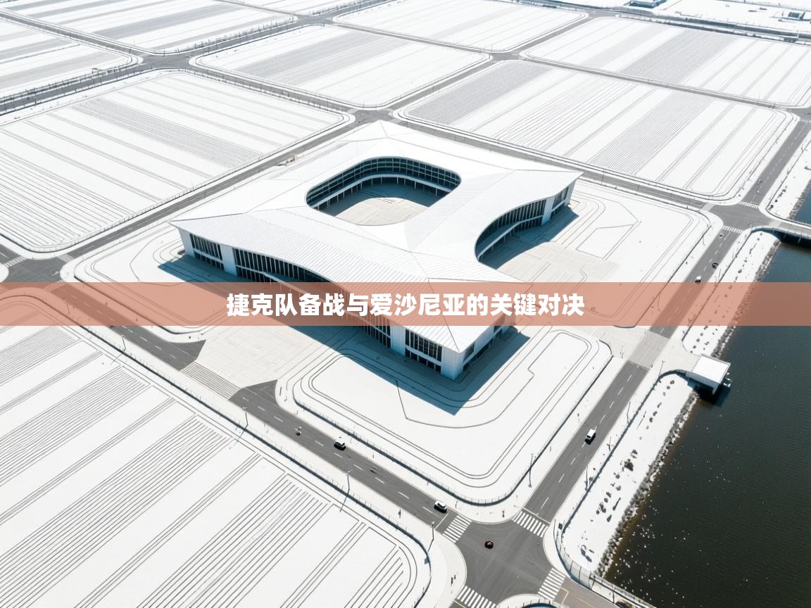 捷克队备战与爱沙尼亚的关键对决