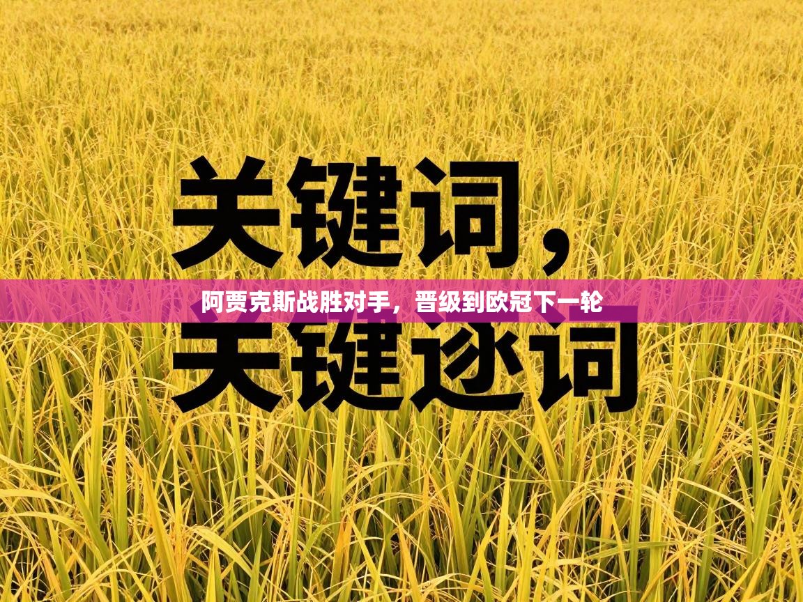 阿贾克斯战胜对手,晋级到欧冠下一轮