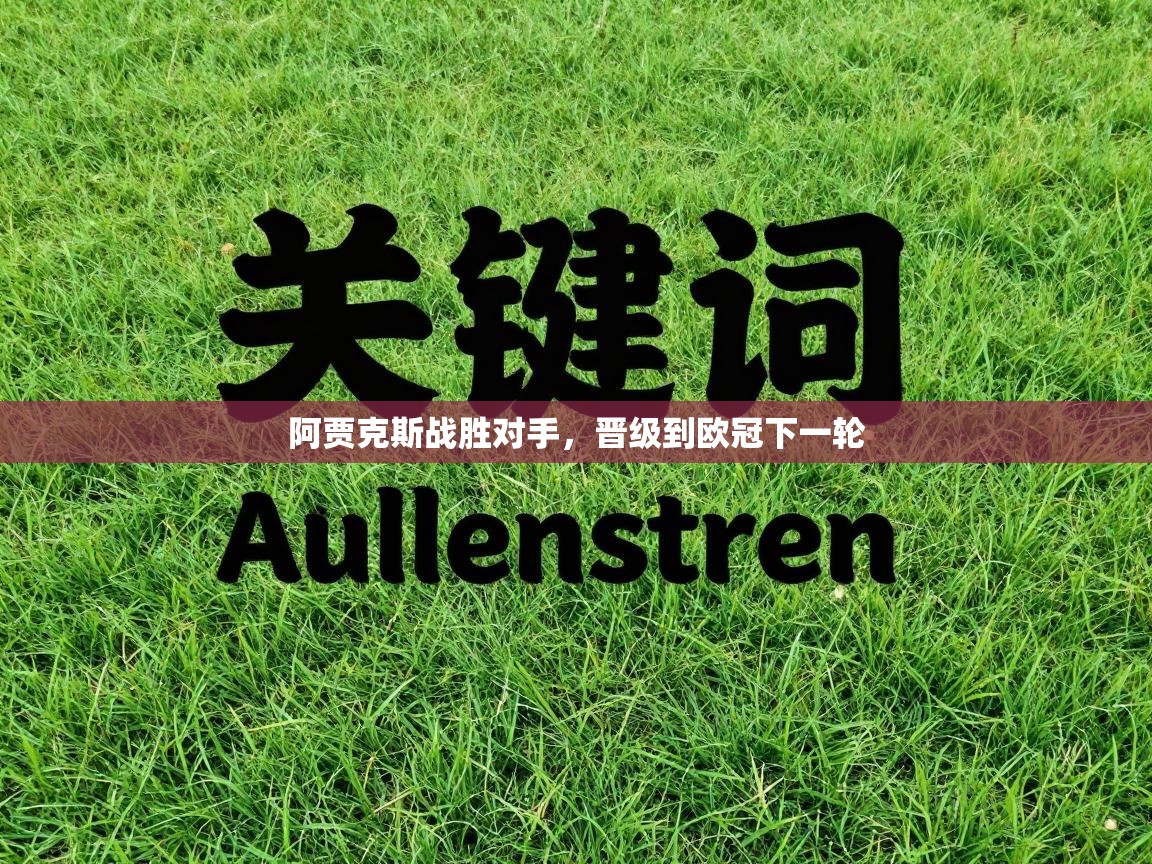 阿贾克斯战胜对手，晋级到欧冠下一轮  第2张