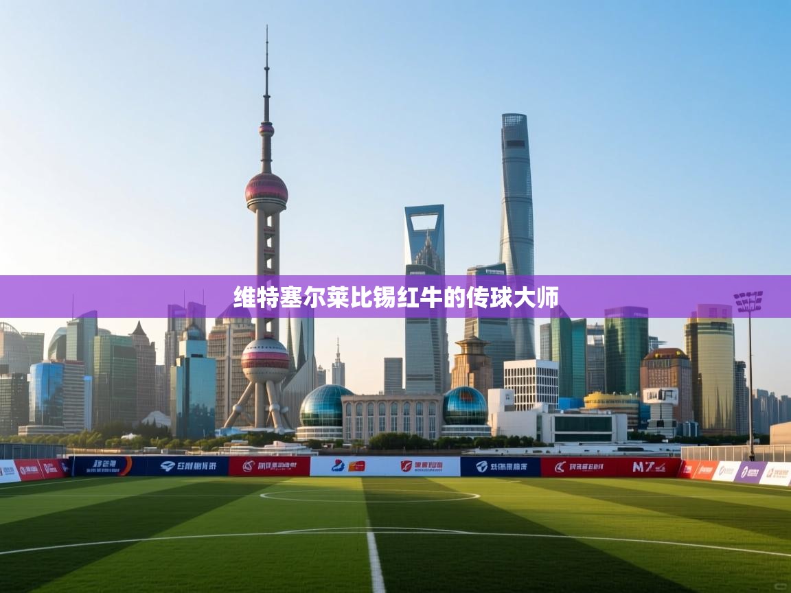 维特塞尔莱比锡红牛的传球大师