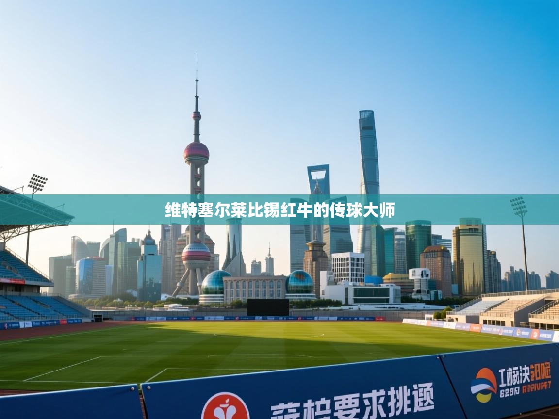 维特塞尔莱比锡红牛的传球大师  第2张