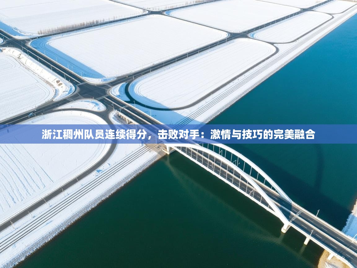 浙江稠州队员连续得分,击败对手:激情与技巧的完美融合 第1张