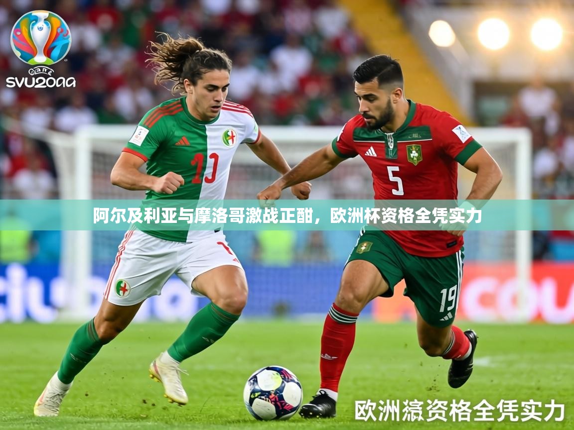 阿尔及利亚与摩洛哥激战正酣,欧洲杯资格全凭实力 第2张