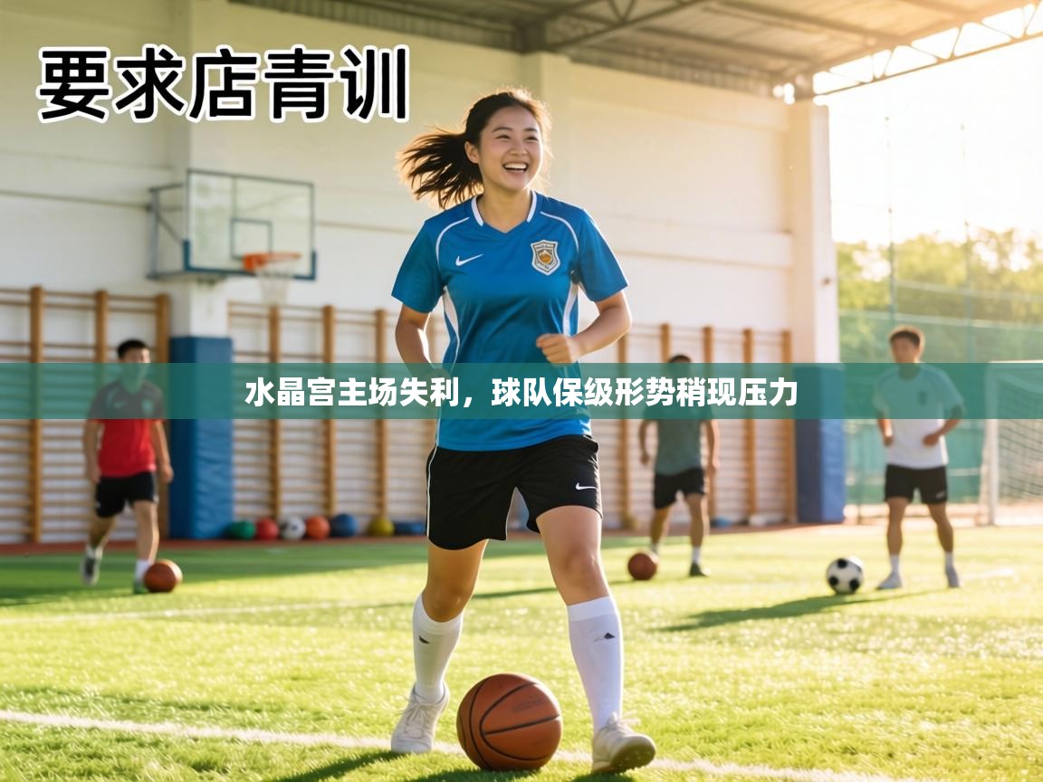 水晶宫主场失利，球队保级形势稍现压力  第1张